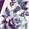 leannav206
